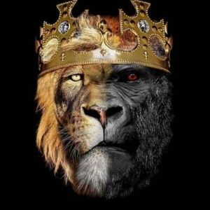 Meet your Posher, Luis